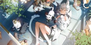 a6c91c78e147e5ae4019b8cdd684b312